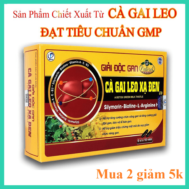 [Chính Hãng] Bổ gan Giải độc gan Thanh nhiệt Tăng cường chức năng gan -Cà Gai Leo Xạ Đen - Hộp 60 viên